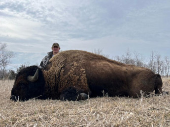 Super Trophy Buffalo Bull in South Dakota