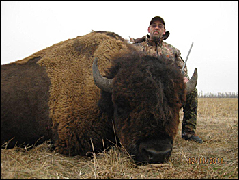 Buffalo Hunting in South Dakota