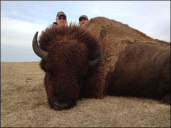 South Dakota Buffalo Hunting with Jim River Guide Service