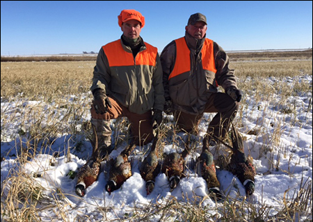South Dakota Pheasant Hunting