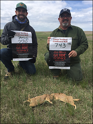 South Dakota Prairie Dog Hunting