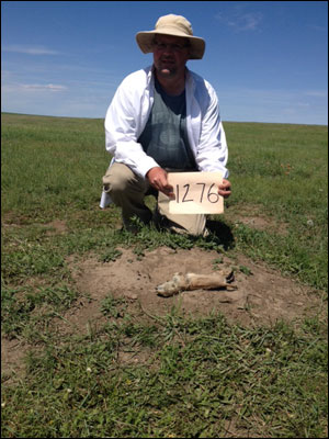 South Dakota Prairie Dog Hunting