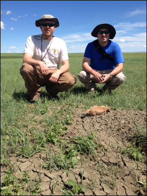 South Dakota Prairie Dog Hunting