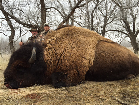 South Dakota bison (buffalo) hunting