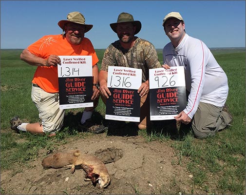 Prairie Dog Hunting Guide