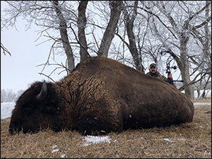 South Dakota Buffalo Hunting with Jim River Guide Service