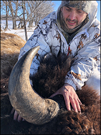 Buffalo Hunting, Bison Hunting in South Dakota