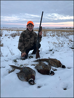 South Dakota Pheasant Hunting