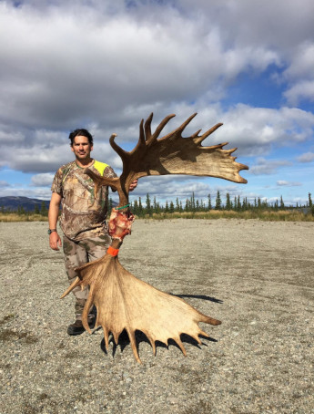 Archery Moose Hunting Hunting