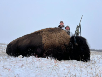 Authentic Bison Hunting