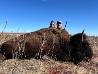 Big Buffalo Hunting in South Dakota