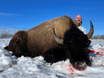 Bison Hunt