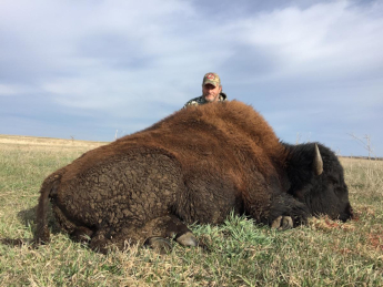 Buffalo Bison Hunting - Rich