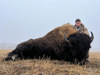 Buffalo Hunting on the Prairie