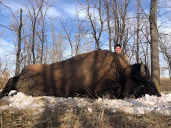 Buffalo Hunting South Dakota
