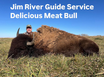 Buffalo Meat Bull