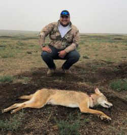 Coyote Hunting