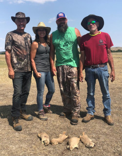 South Dakota Pheasant Hunting Vs Prairie Dog Hunting