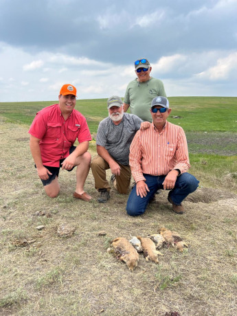 Buffalo and Prairie Dog Hunting During Rain