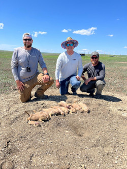 More Prairie Dog Hunters From Wisconsin