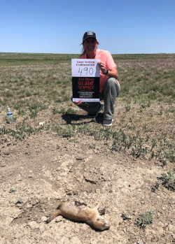 Prairie Dog Shooting