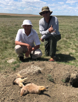 Prairie Dog Hunting