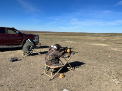 Prairie Dog Hunting on a Windy Day