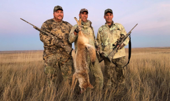 Coyote and Fox Hunting