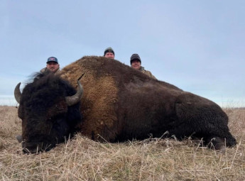 South Dakota Bison Hunt