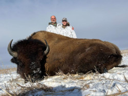 Buffalo Hunting - South Dakota