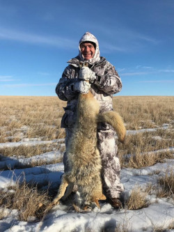 South Dakota Coyote Hunting