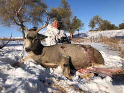 South Dakota Deer Hunting