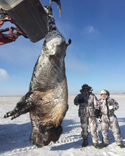 South Dakota Hunting