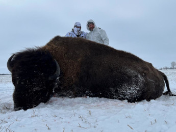 Super Trophy Buffalo Hunt