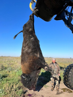 Trophy Buffalo Hunting in South Dakota