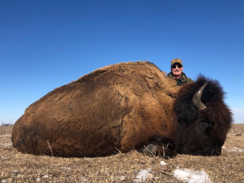 Buffalo Hunting South Dakota