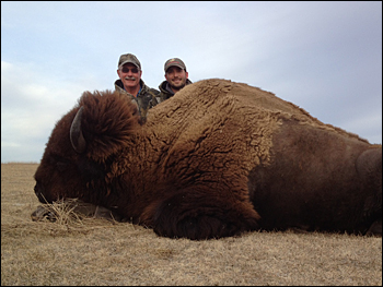 South Dakota Buffalo Hunting