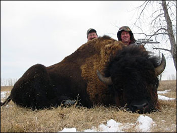 Buffalo hunting, South Dakota