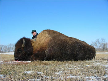 Buffalo hunting, South Dakota