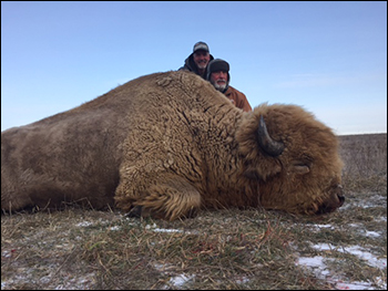 Buffalo Hunting, Bison Hunting in South Dakota