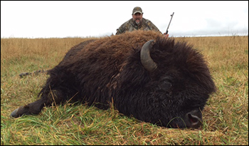 South Dakota bison (buffalo) hunting