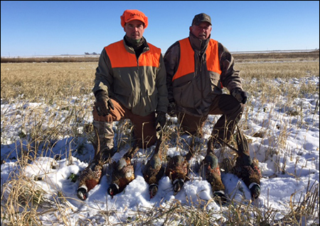 Pheasent Hunting Guide