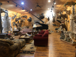 Trophy Room